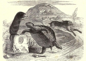 The Hare and the Tortoise, Jean Grandville (1803-1847) from the 1855 edition of La Fontaine's Fables (Source: Wikipedia Commons) The Hare and the Tortoise, Jean Grandville (1803-1847) from the 1855 edition of La Fontaine's Fables (Source: Wikipedia Commons)