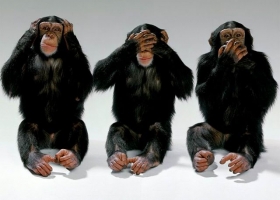 Three monkeys (Source: Wikimedia Commons) Three monkeys (Source: Wikimedia Commons)