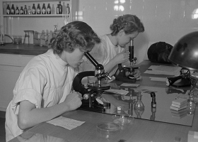 Untersuchungen am Mikroskop im Labor, 1952, Deutsche Fotothek (Source: Wikimedia) Untersuchungen am Mikroskop im Labor, 1952, Deutsche Fotothek (Source: Wikimedia)