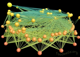 3D visualization of ecological networks on the Internet, IS&T/SPIE Symposium, 2004 (Source: Wikimedia Commons) 3D visualization of ecological networks on the Internet, IS&T/SPIE Symposium, 2004 (Source: Wikimedia Commons)