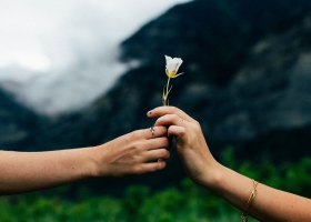 Hands with flowers Hands with flowers