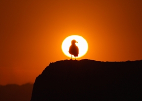Photo by Dave Hoefler on Unsplash Photo by Dave Hoefler on Unsplash