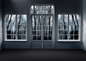 Dark forest behind windows Dark forest behind windows